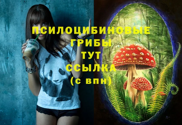 скорость Алзамай