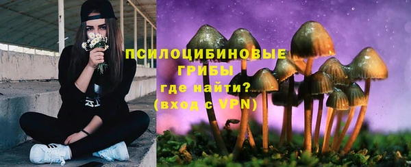 скорость Алзамай