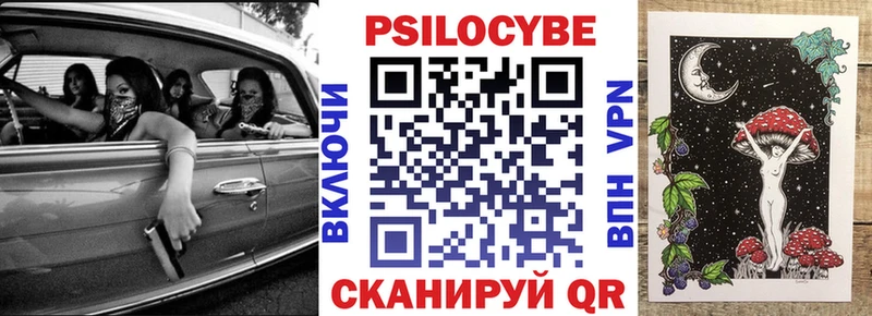 что такое   Бабаево  Псилоцибиновые грибы Psilocybe 